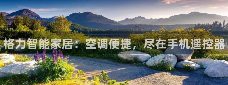 环球360被黑