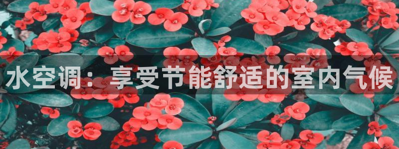 菲律宾环球360管理中心官网