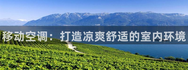 环球360代理平台官网