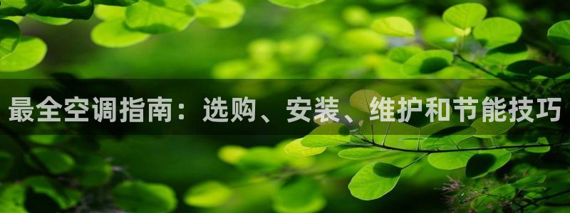 环球360的官网客服在哪里找