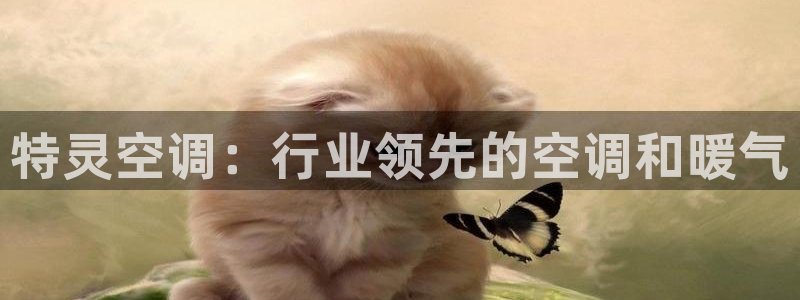 环球360会员登录不了