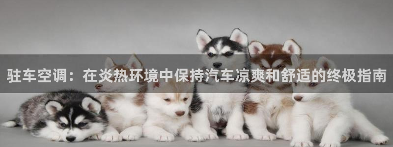 环球360代理开户