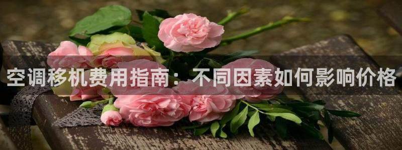环球360官网