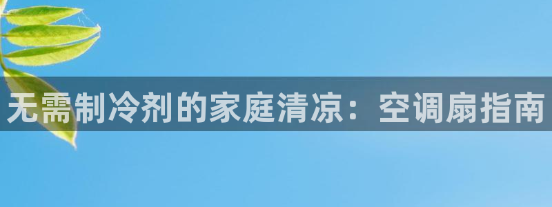 环球360是干嘛的