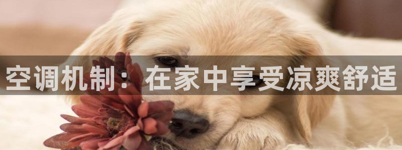 环球360菲律宾 - 环球360管理网登录