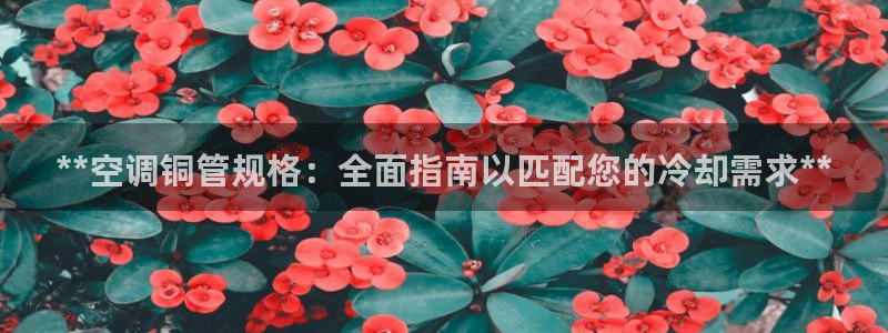 菲律宾环球360注册账号