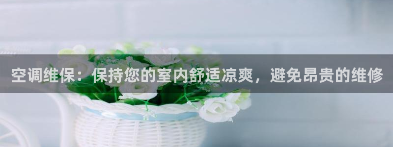 环球360代理平台官网