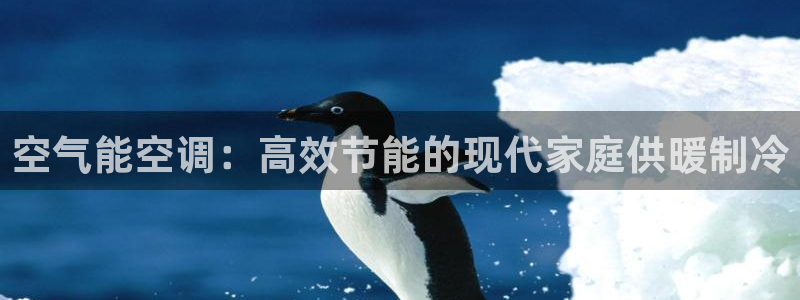 环球360国际