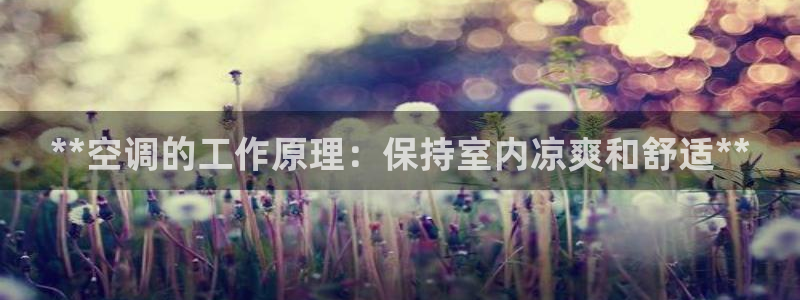 菲律宾环球360代理是真的吗