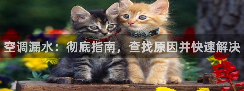 环球360客服电话