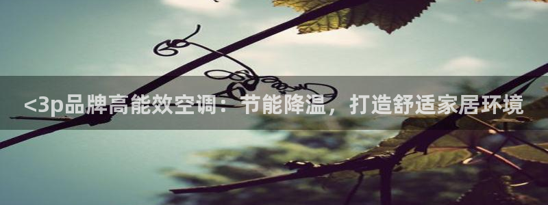 环球360代理开户