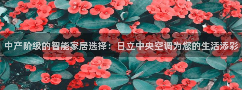 环球360登录网址是什么