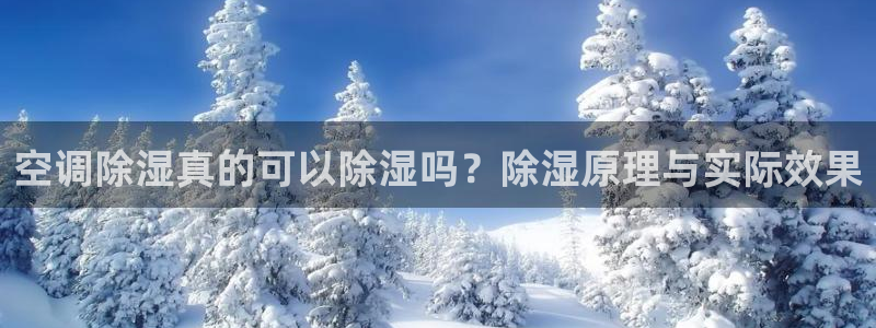 环球360登录入口在哪里