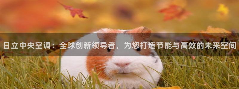 菲律宾环球360平台官网